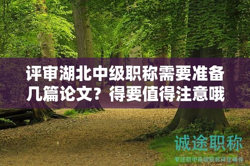 評(píng)審湖北中級(jí)職稱需要準(zhǔn)備幾篇論文？得要值得注意哦