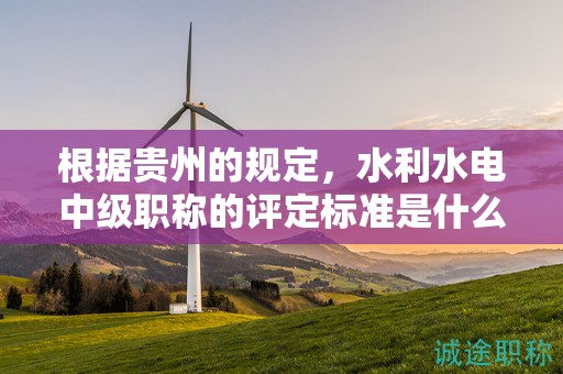 根據(jù)貴州的規(guī)定，水利水電中級職稱的評定標準是什么？