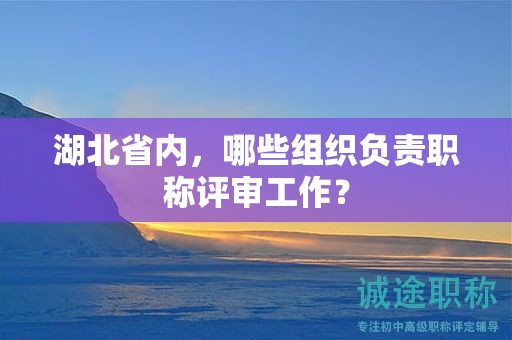 湖北省內(nèi)，哪些組織負責職稱評審工作？