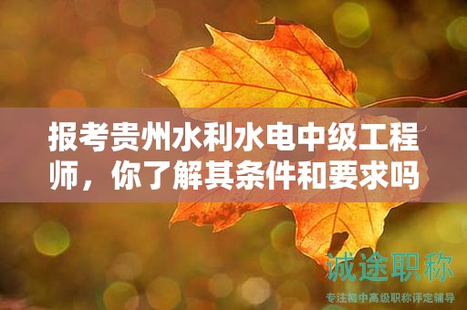 報(bào)考貴州水利水電中級(jí)工程師，你了解其條件和要求嗎？
