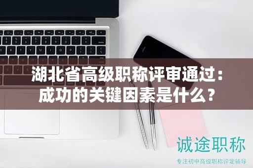 湖北省高級職稱評審?fù)ㄟ^：成功的關(guān)鍵因素是什么？