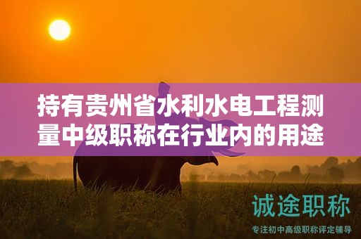 持有貴州省水利水電工程測(cè)量中級(jí)職稱在行業(yè)內(nèi)的用途是什么？
