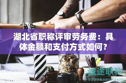 湖北省職稱評(píng)審勞務(wù)費(fèi)：具體金額和支付方式如何？