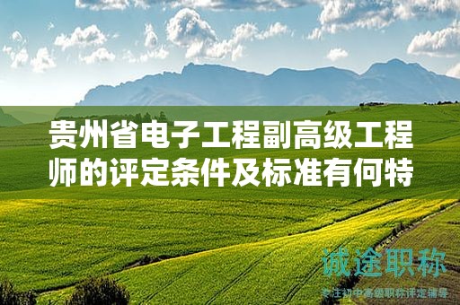 貴州省電子工程副高級工程師的評定條件及標準有何特色？