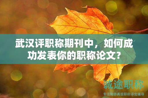 武漢評職稱期刊中，如何成功發(fā)表你的職稱論文？