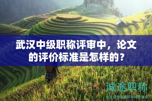 武漢中級職稱評審中，論文的評價標(biāo)準(zhǔn)是怎樣的？