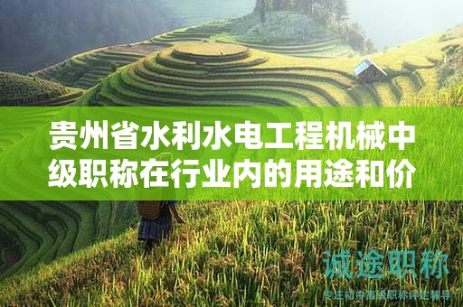 貴州省水利水電工程機械中級職稱在行業(yè)內(nèi)的用途和價值有哪些？