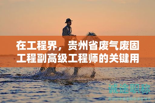 在工程界，貴州省廢氣廢固工程副高級(jí)工程師的關(guān)鍵用途有哪些？