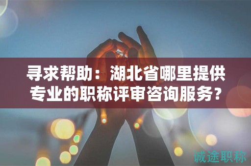 尋求幫助：湖北省哪里提供專業(yè)的職稱評(píng)審咨詢服務(wù)？