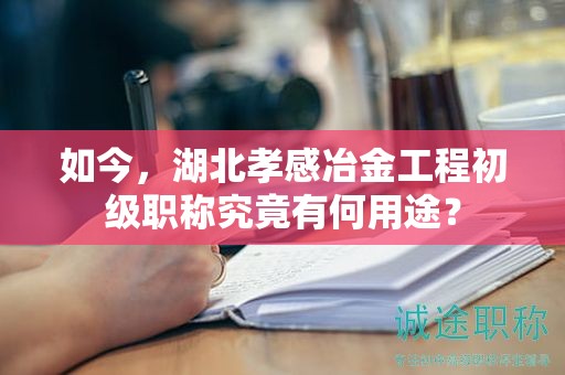 如今，湖北孝感冶金工程初級(jí)職稱究竟有何用途？