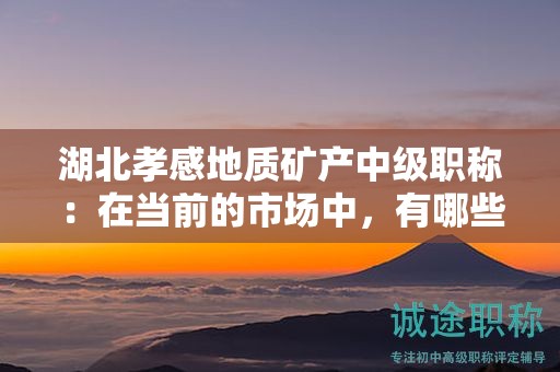 湖北孝感地質(zhì)礦產(chǎn)中級(jí)職稱(chēng)：在當(dāng)前的市場(chǎng)中，有哪些核心用途？