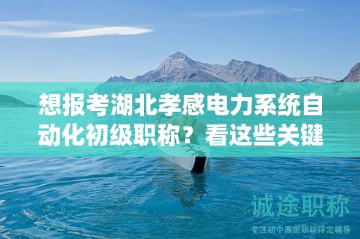 想報(bào)考湖北孝感電力系統(tǒng)自動(dòng)化初級(jí)職稱？看這些關(guān)鍵條件和要求