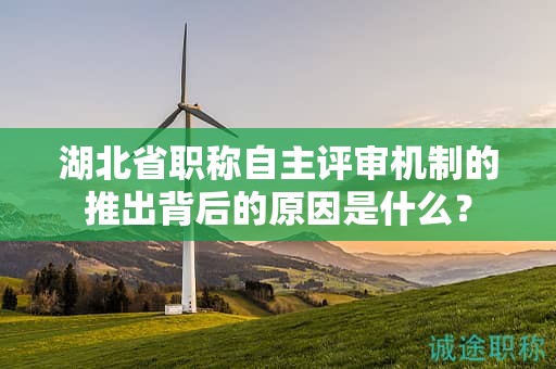 湖北省職稱自主評審機制的推出背后的原因是什么？