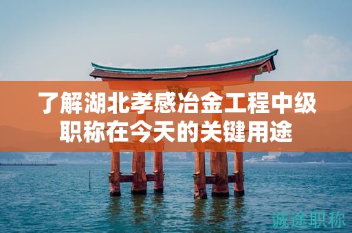 了解湖北孝感冶金工程中級職稱在今天的關鍵用途