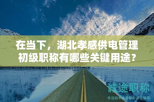 在當(dāng)下，湖北孝感供電管理初級職稱有哪些關(guān)鍵用途？