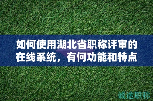 如何使用湖北省職稱評審的在線系統(tǒng)，有何功能和特點？