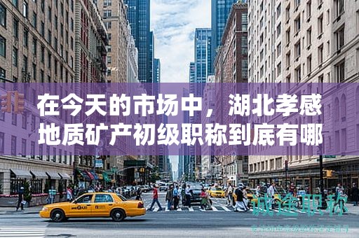 在今天的市場中，湖北孝感地質(zhì)礦產(chǎn)初級職稱到底有哪些實(shí)際用途？