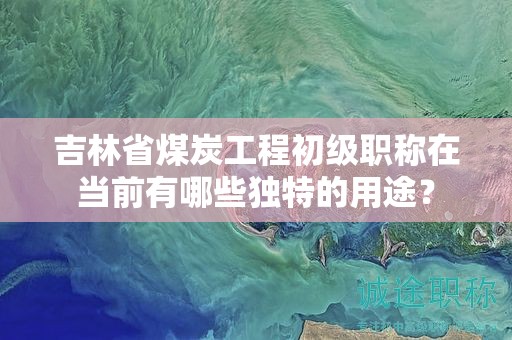 吉林省煤炭工程初級職稱在當(dāng)前有哪些獨特的用途？