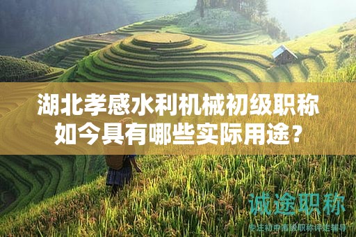 湖北孝感水利機(jī)械初級(jí)職稱如今具有哪些實(shí)際用途？