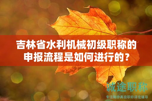 吉林省水利機(jī)械初級(jí)職稱的申報(bào)流程是如何進(jìn)行的？