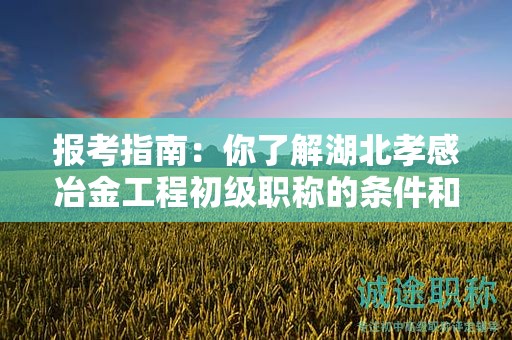 報考指南：你了解湖北孝感冶金工程初級職稱的條件和要求嗎？