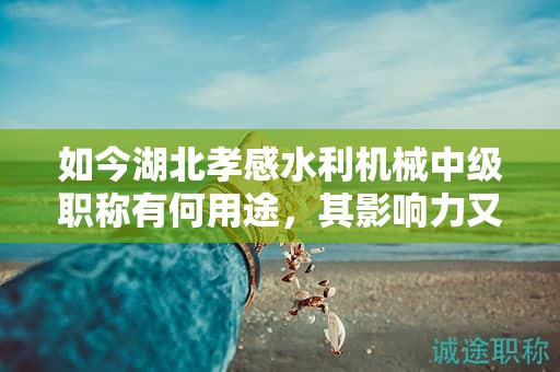 如今湖北孝感水利機(jī)械中級(jí)職稱有何用途，其影響力又如何？