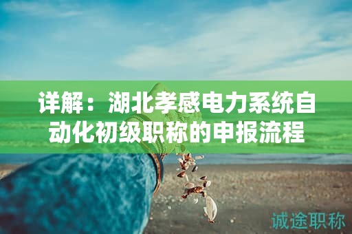 詳解：湖北孝感電力系統(tǒng)自動化初級職稱的申報流程