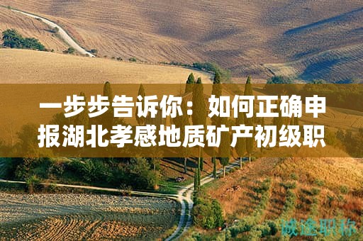 一步步告訴你：如何正確申報(bào)湖北孝感地質(zhì)礦產(chǎn)初級(jí)職稱？