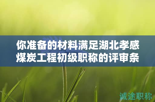 你準備的材料滿足湖北孝感煤炭工程初級職稱的評審條件嗎？