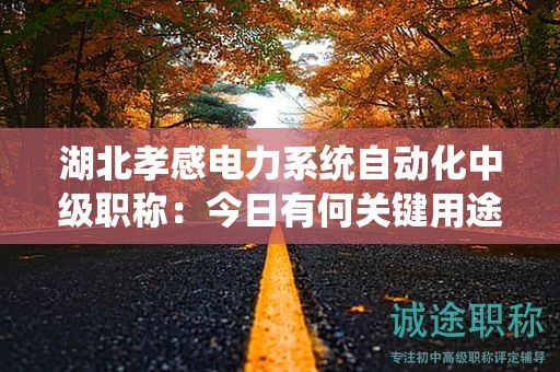 湖北孝感電力系統(tǒng)自動化中級職稱：今日有何關(guān)鍵用途？