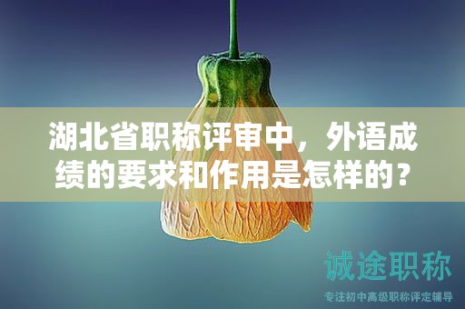 湖北省職稱評審中，外語成績的要求和作用是怎樣的？