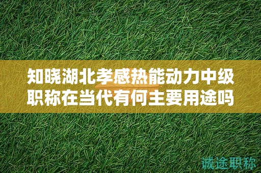 知曉湖北孝感熱能動(dòng)力中級(jí)職稱在當(dāng)代有何主要用途嗎？
