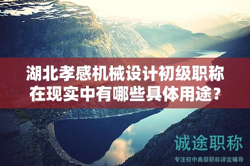 湖北孝感機(jī)械設(shè)計(jì)初級(jí)職稱在現(xiàn)實(shí)中有哪些具體用途？