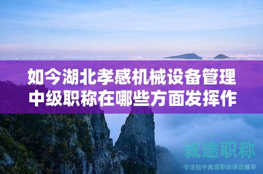 如今湖北孝感機(jī)械設(shè)備管理中級(jí)職稱在哪些方面發(fā)揮作用？