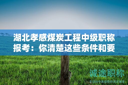 湖北孝感煤炭工程中級(jí)職稱報(bào)考：你清楚這些條件和要求了嗎？