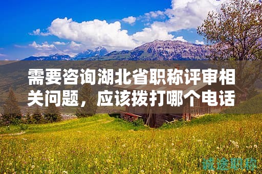 需要咨詢(xún)湖北省職稱(chēng)評(píng)審相關(guān)問(wèn)題，應(yīng)該撥打哪個(gè)電話(huà)？