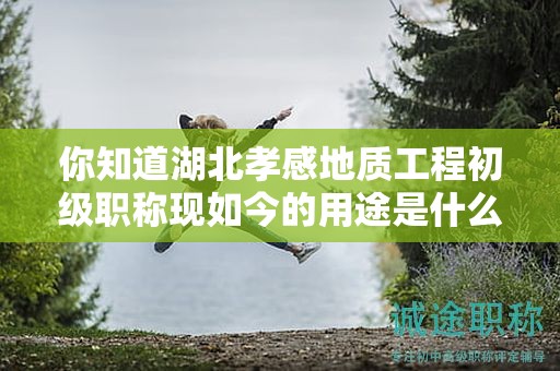 你知道湖北孝感地質(zhì)工程初級(jí)職稱現(xiàn)如今的用途是什么嗎？