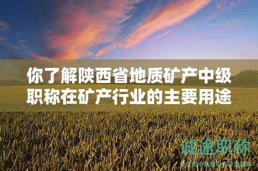 你了解陜西省地質(zhì)礦產(chǎn)中級職稱在礦產(chǎn)行業(yè)的主要用途嗎？