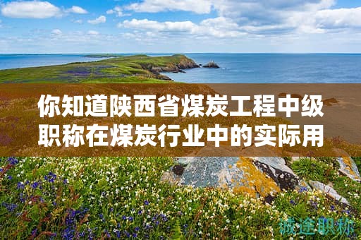 你知道陜西省煤炭工程中級職稱在煤炭行業(yè)中的實際用途嗎？