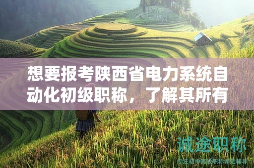 想要報(bào)考陜西省電力系統(tǒng)自動化初級職稱，了解其所有條件和要求了嗎？