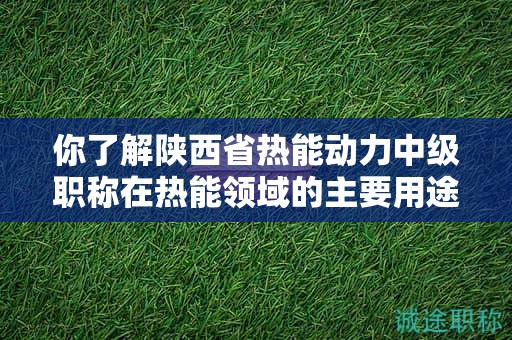 你了解陜西省熱能動力中級職稱在熱能領域的主要用途嗎？