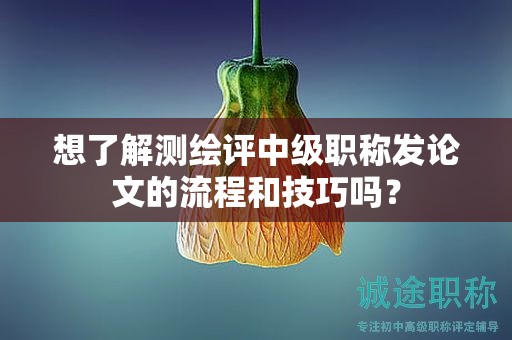 想了解測(cè)繪評(píng)中級(jí)職稱(chēng)發(fā)論文的流程和技巧嗎？