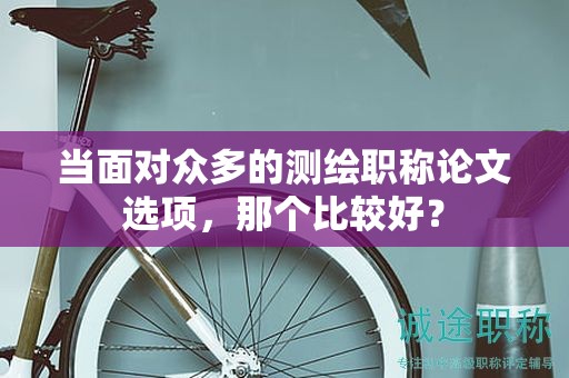 當(dāng)面對(duì)眾多的測(cè)繪職稱論文選項(xiàng)，那個(gè)比較好？