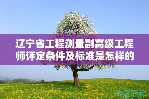 遼寧省工程測(cè)量副高級(jí)工程師評(píng)定條件及標(biāo)準(zhǔn)是怎樣的，如何為之做好準(zhǔn)備？