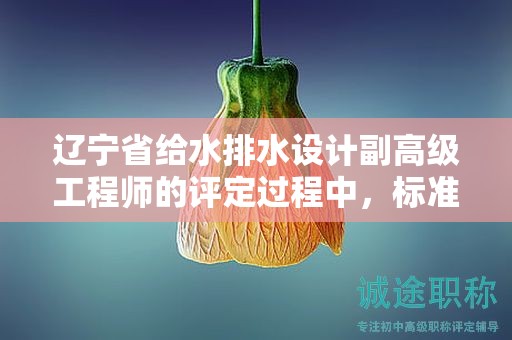 遼寧省給水排水設(shè)計(jì)副高級(jí)工程師的評(píng)定過(guò)程中，標(biāo)準(zhǔn)和條件是什么？