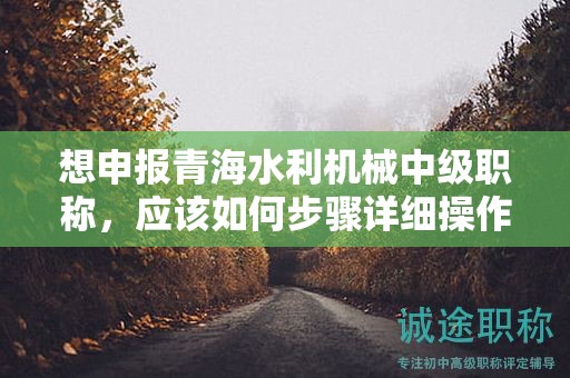 想申報(bào)青海水利機(jī)械中級(jí)職稱(chēng)，應(yīng)該如何步驟詳細(xì)操作？