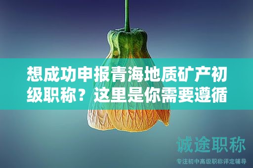 想成功申報青海地質(zhì)礦產(chǎn)初級職稱？這里是你需要遵循的流程