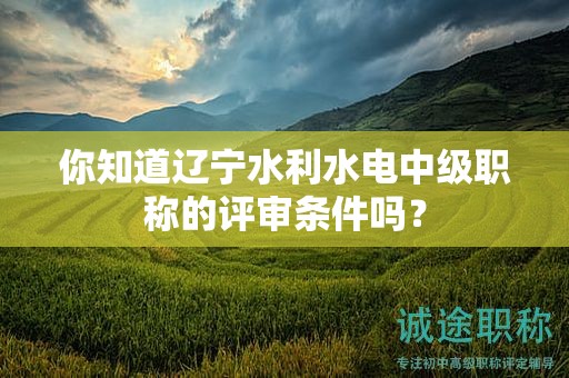 你知道遼寧水利水電中級(jí)職稱(chēng)的評(píng)審條件嗎？