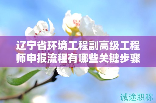 遼寧省環(huán)境工程副高級(jí)工程師申報(bào)流程有哪些關(guān)鍵步驟，怎樣避免常見錯(cuò)誤？