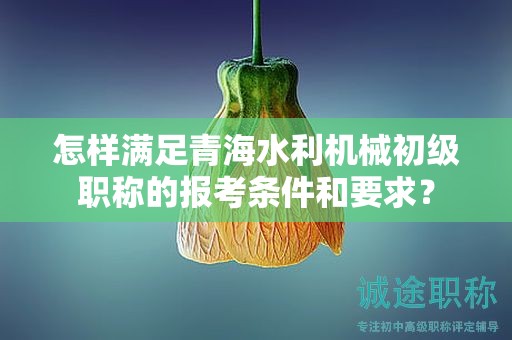 怎樣滿足青海水利機械初級職稱的報考條件和要求？